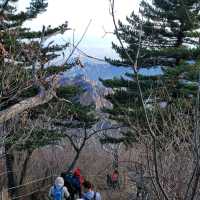 Jungcheong Shelter View