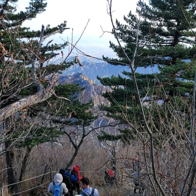 Jungcheong Shelter View