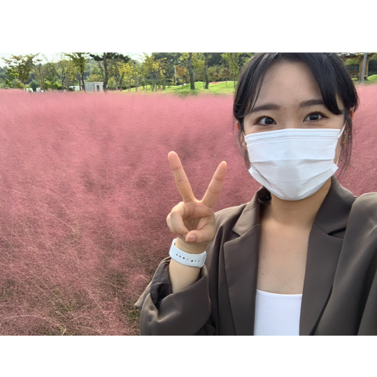 나주 핑크뮬리 ‘국립박물관‘