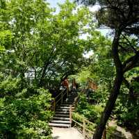 수원 피크닉 광교산 등산
