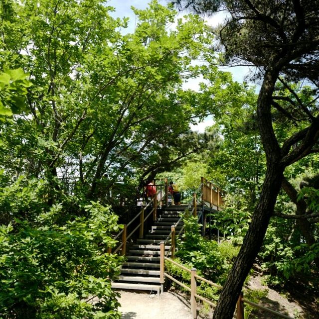 수원 피크닉 광교산 등산