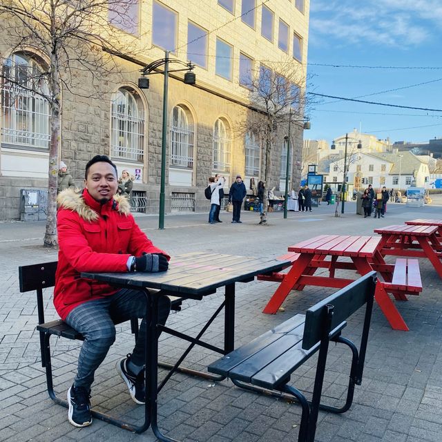 city tour in reykjavik