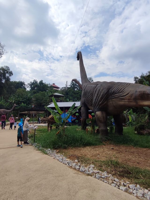 Malacca Zoo 🦒✨