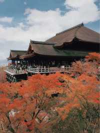 日本京都賞楓必去景點-清水寺