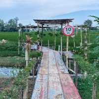 เติมสุข คาเฟ่ พาย้อนวันวานในความทรงจำ