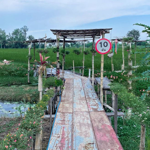 เติมสุข คาเฟ่ พาย้อนวันวานในความทรงจำ