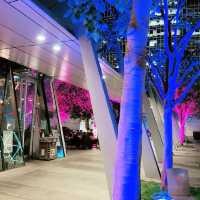 好 Chill🌳🌴📸 ～ IFC🥂🍷🍹