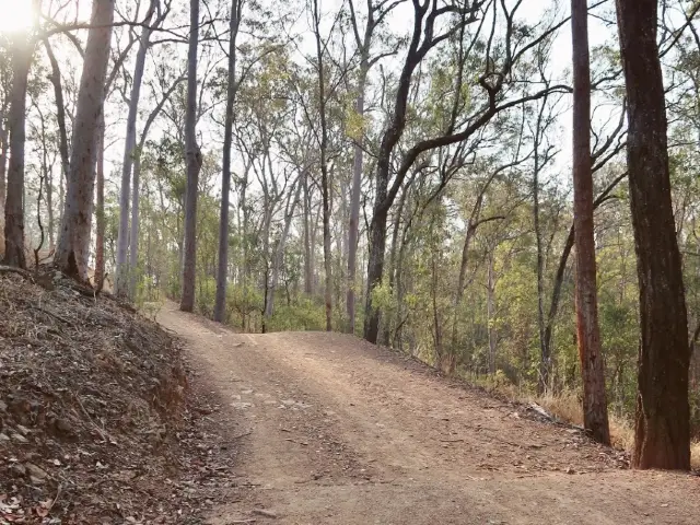 Mount Coo-Tha Lookout Trail Hike/Track