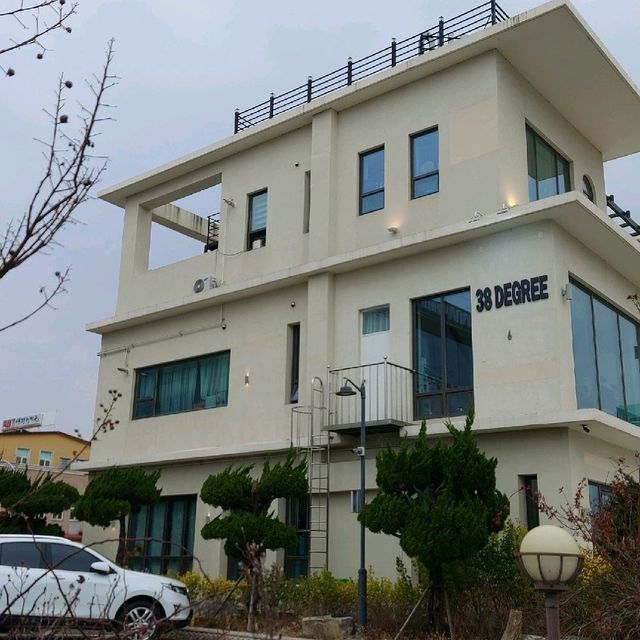 속초 애견동반 카페 38DEGREE😍