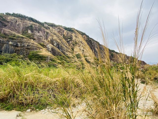 15分鐘行山郊野路線