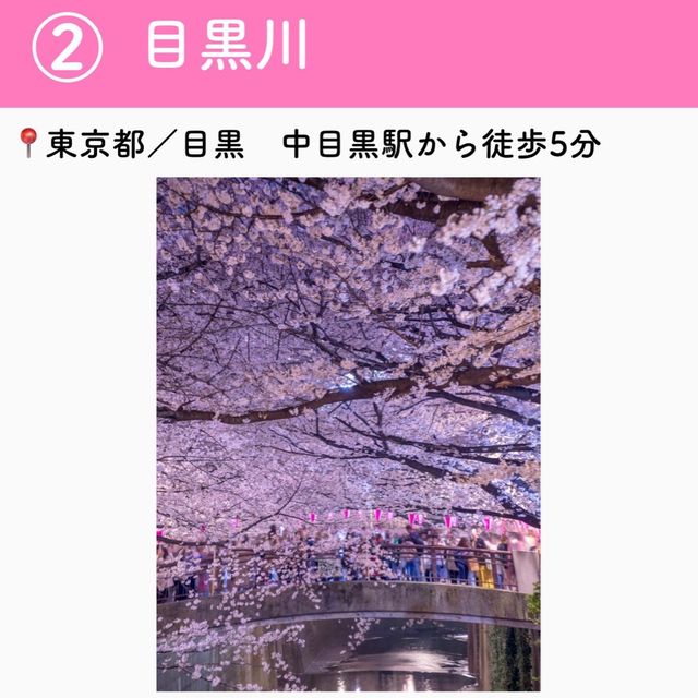 この春行きたい！お花見スポット7選