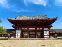 奈良　SAKURA 桜めぐり❗️東大寺大仏殿と桜のコラボに感動！