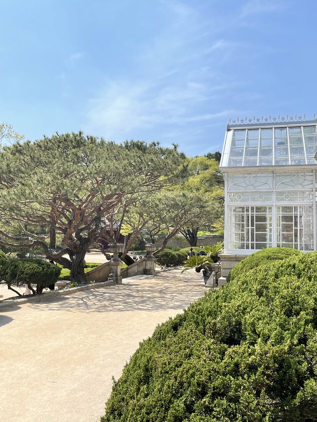 산책하며 걷기 좋은 창경궁 대온실