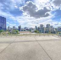 春の新国立競技場の広場
