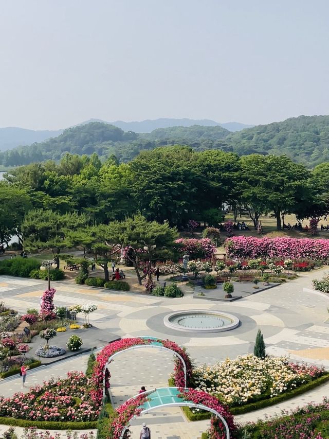 하늘에서 하는 특별한 꽃구경!