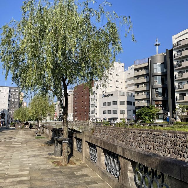 【長崎県】紫陽花の名所、眼鏡橋を散策