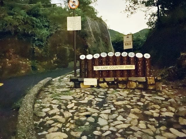 夜遊大欖水塘