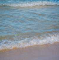 🌊아름다운 푸른바다와 해바라기가 함께하는곳 [부산, 광안리해수욕장/해변공원]🌻