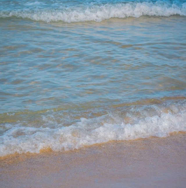 🌊아름다운 푸른바다와 해바라기가 함께하는곳 [부산, 광안리해수욕장/해변공원]🌻