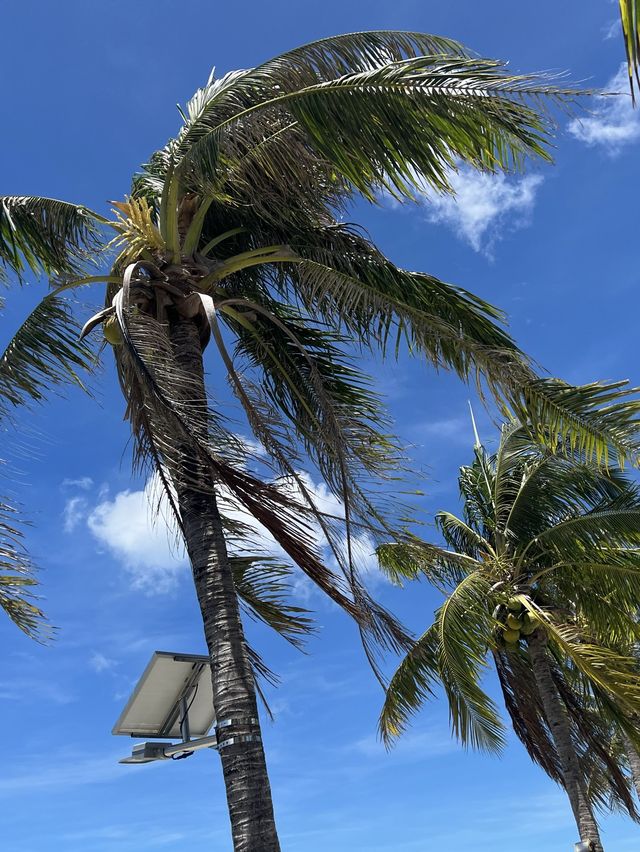 墾丁景觀餐廳推薦｜愛琴海岸海景咖啡，海景第一排！
