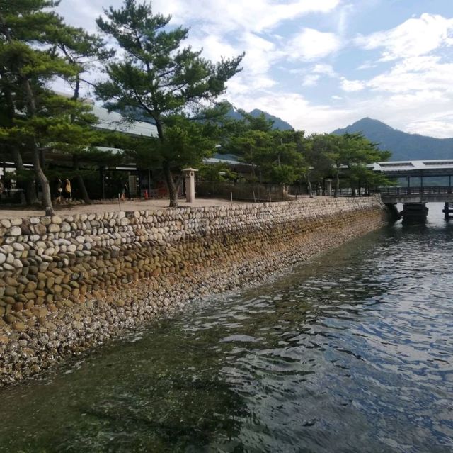 〘宮島〙宮島行きフェリー🛳