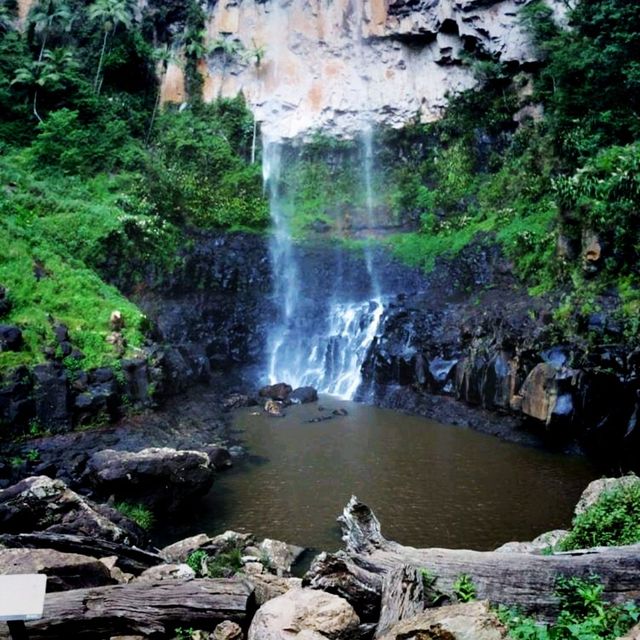 It's a Land Of Waterfall In Springbrook