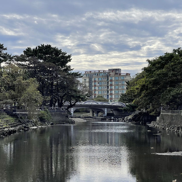 🚶🏻 물길을 걸으며 만나는 제주, 월대천