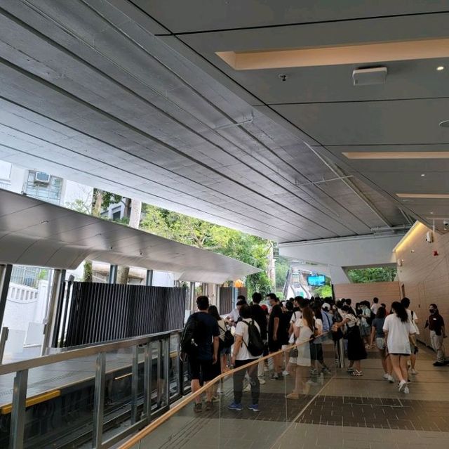 充滿香港特色的交通方式🚎