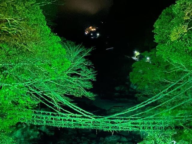 蔓橋及琵琶之淹夜間點燈特別活動