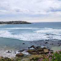 bondi beach