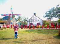 ไปเป็นเด็กเลี้ยงแกะ@Swiss Sheep Farm