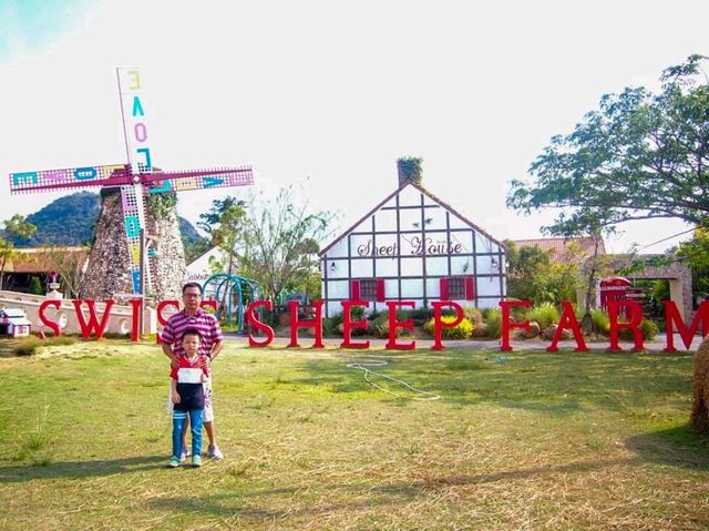 ไปเป็นเด็กเลี้ยงแกะ@Swiss Sheep Farm