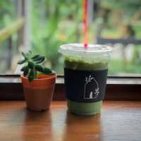 ☕️|🌳 Verdurous House 🍦彡·˚ ₊ พัทลุง
