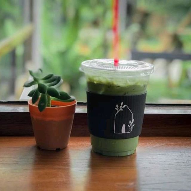 ☕️|🌳 Verdurous House 🍦彡·˚ ₊ พัทลุง