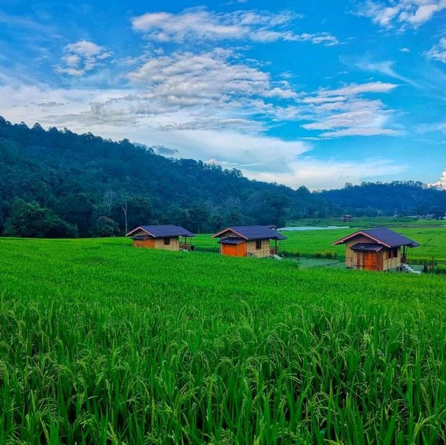 บ้านแม่กลางหลวง ดอยอินทนนท์