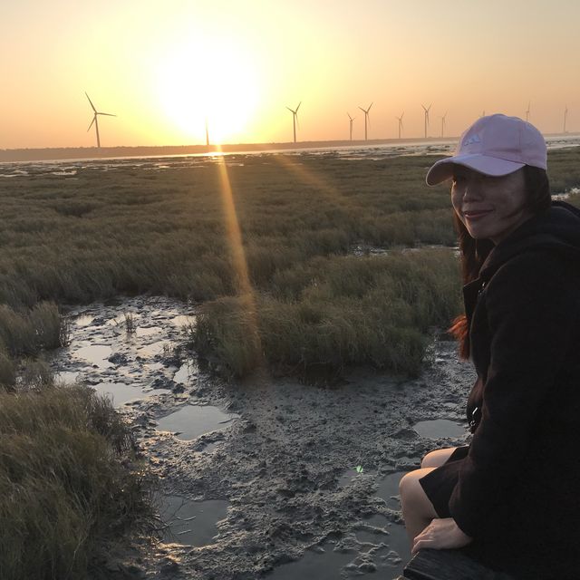 Amazing wind farm at Wetlands 