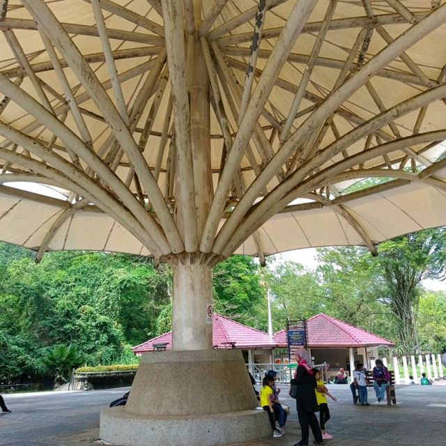 Zoo Taiping, a house of amazing animals.