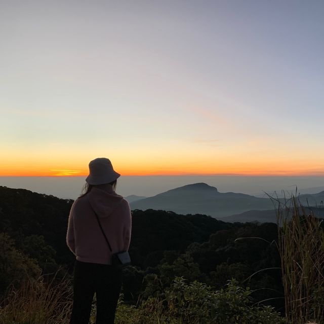 เส้นทางเดินธรรมชาติ “กิ่วแม่ปาน” เปิดแล้วน่าาา 🏔️