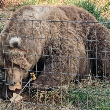 Olympic National Park Trip