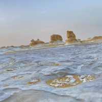 The Charming White Desert of Egypt!