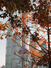 Winter Perspective of the Pearl Tower🧡🍁