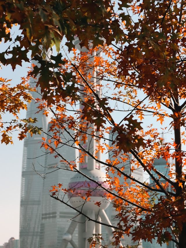 Winter Perspective of the Pearl Tower🧡🍁