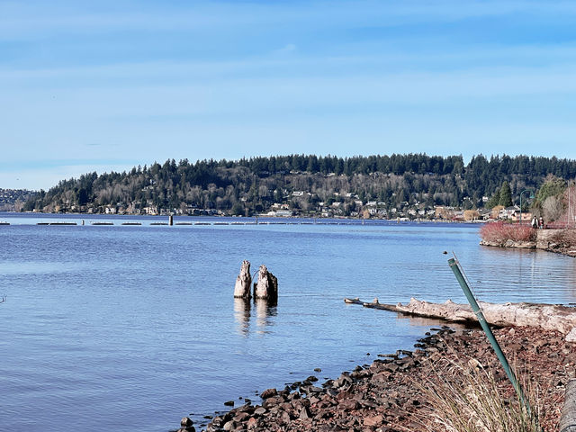 Seattle's Renton Washington Lakefront Park.