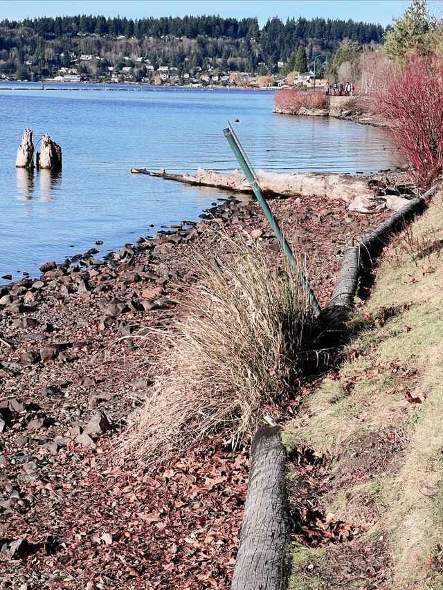 Seattle's Renton Washington Lakefront Park.