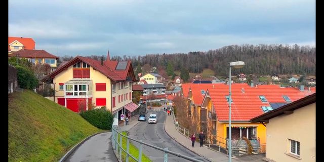 Scenic views of Schmitten, the town.