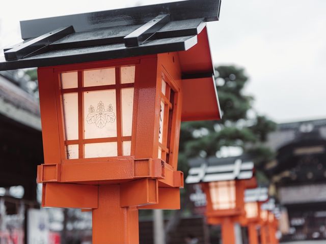 Japan Travel | Strongly recommend these ten cherry blossom check-in spots in Japan 🌸