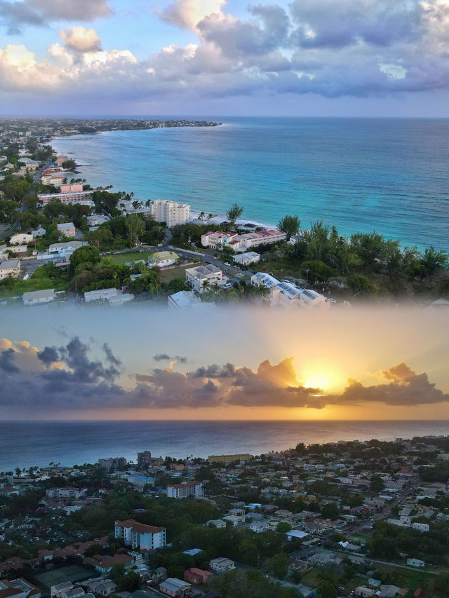 February travel | I found the jelly sea in my heart in the Caribbean 🌊