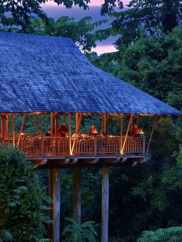 Philippines treehouse vacation, enjoy the beautiful scenery.