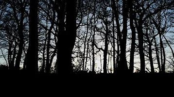 Shadows of the Fables | Parry-Williams Building, Penglais, Aberystwyth, UK