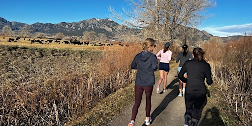 Elevate Your Running South Boulder Long Run | Neptune Mountaineering